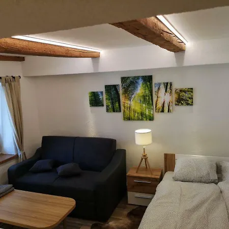 Apartment Deluxe Town Studio