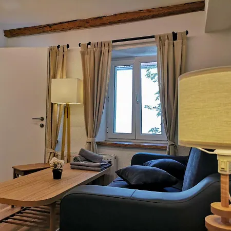 Deluxe Town Studio Apartment