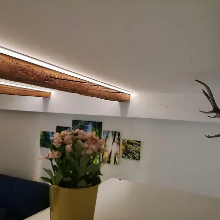 Deluxe Town Studio Appartement