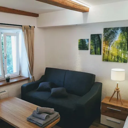 Apartment Deluxe Town Studio