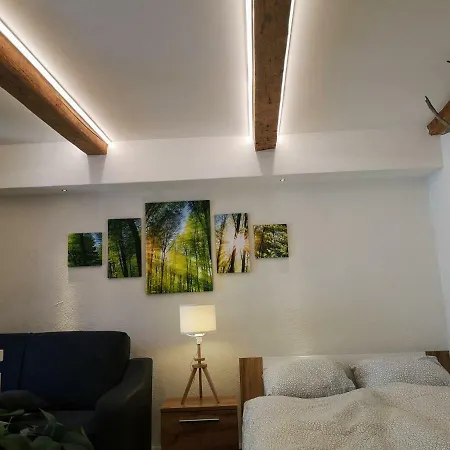 Deluxe Town Studio Apartment *
